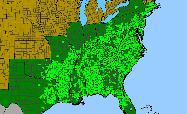 The range of Smilax glauca